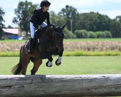 jumper Curly Sue 225 (German Sport Horse, 2018, from Rodrigoo VDL)