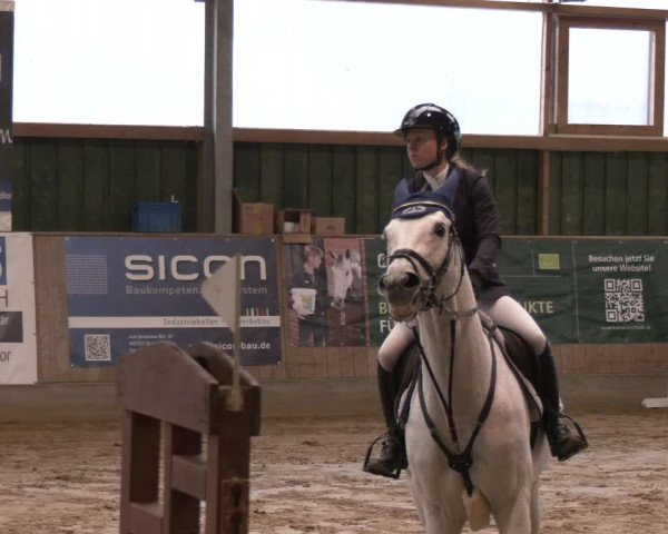 Reitturnier Velen 2024