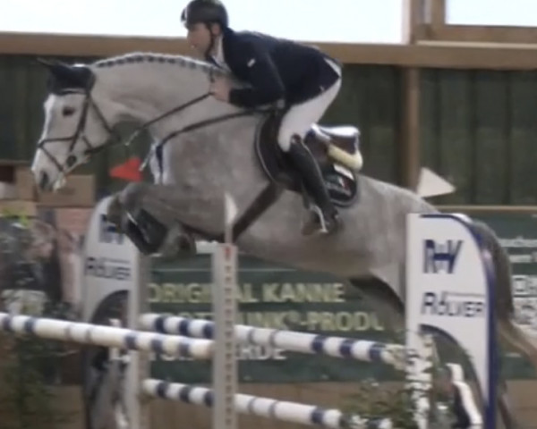 jumper Come On Elsa (Westphalian, 2018, from Comme le père)