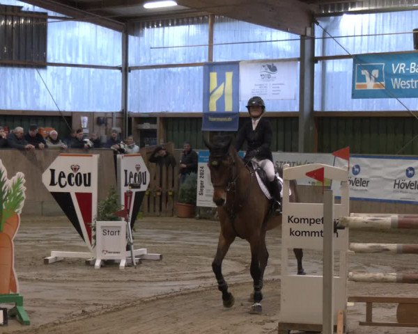 Reitturnier Velen 2024