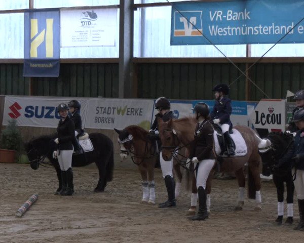 Reitturnier Velen 2024