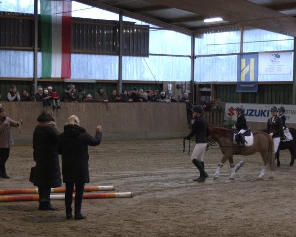Reitturnier Velen 2024