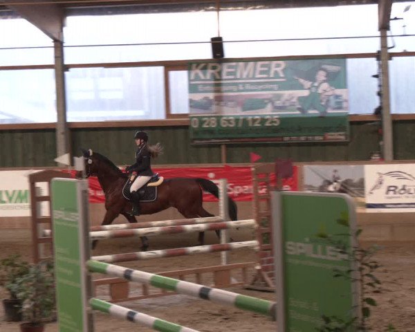 Reitturnier Velen 2024