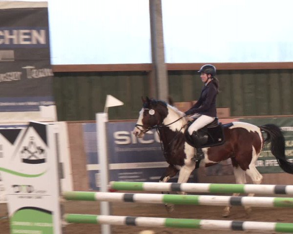 Reitturnier Velen 2024