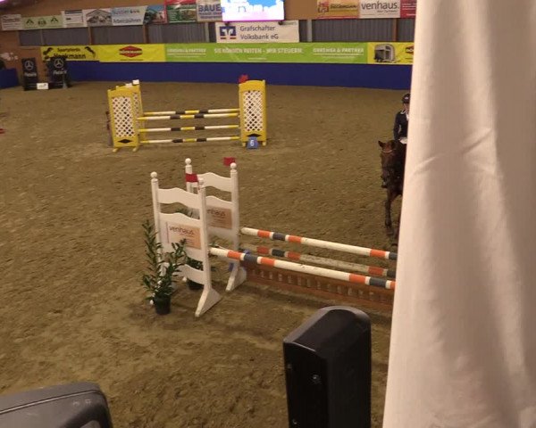 Euregio Springturnier Isterberg 2021