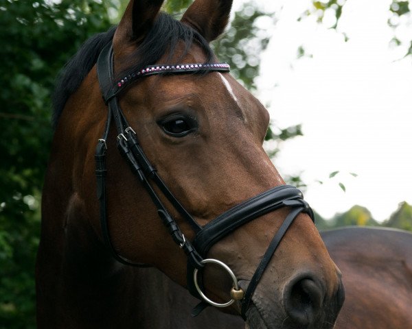 dressage horse De La Luna 18 (Westphalian, 2011, from Diatano)
