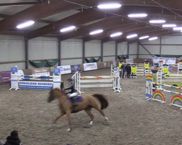 Reitturnier Hesel 2024