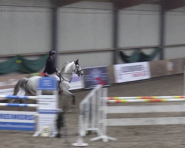 Reitturnier Hesel 2024