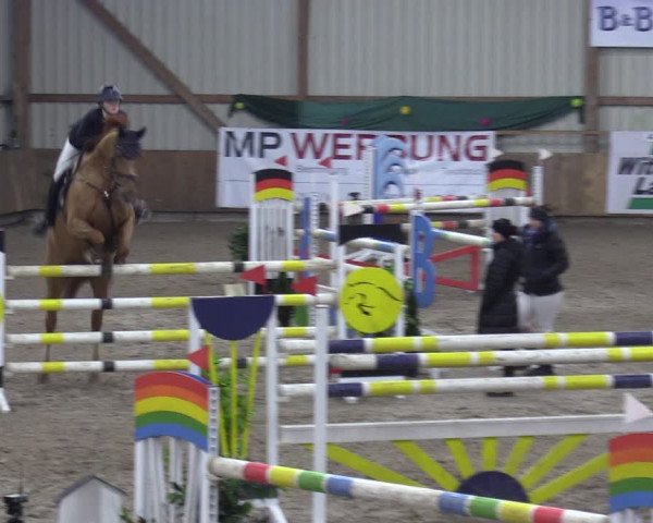 Reitturnier Hesel 2024