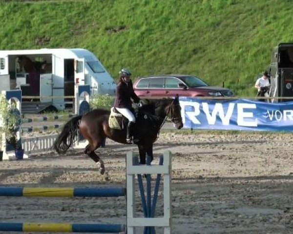 Dorsten 2011