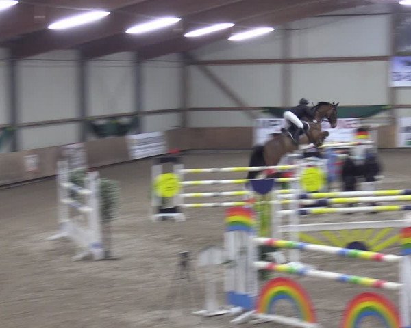 Reitturnier Hesel 2024