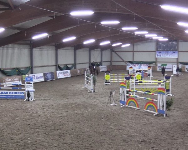 Reitturnier Hesel 2024