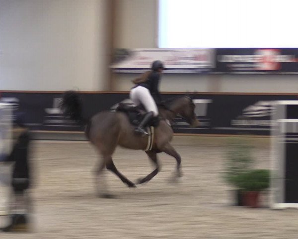 Reitturnier Goch-Asperden 2024