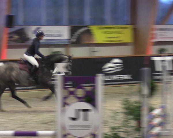 Reitturnier Goch-Asperden 2024