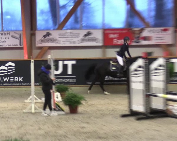 Reitturnier Goch-Asperden 2024