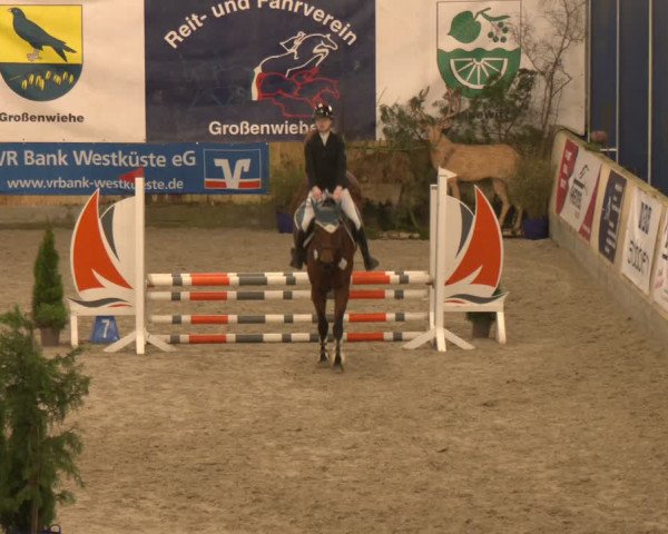 Reitturnier Großenwiehe 2024