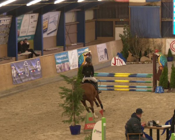 Reitturnier Großenwiehe 2024