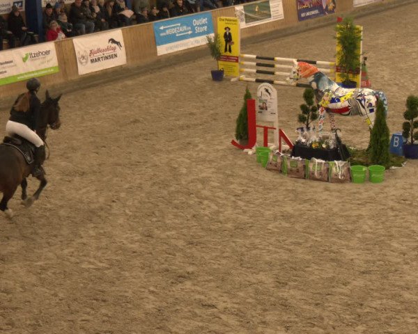 Reitturnier Großenwiehe 2024