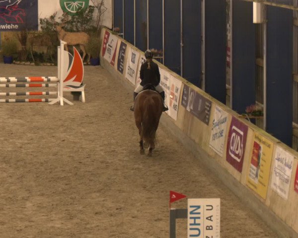 Reitturnier Großenwiehe 2024