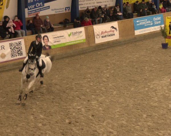 Reitturnier Großenwiehe 2024