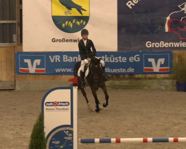 Reitturnier Großenwiehe 2024