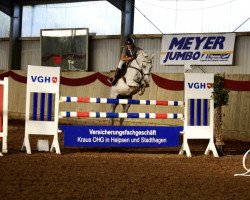 Springpferd Milla Nova (Polnisches Warmblut, 2016, von Idol)