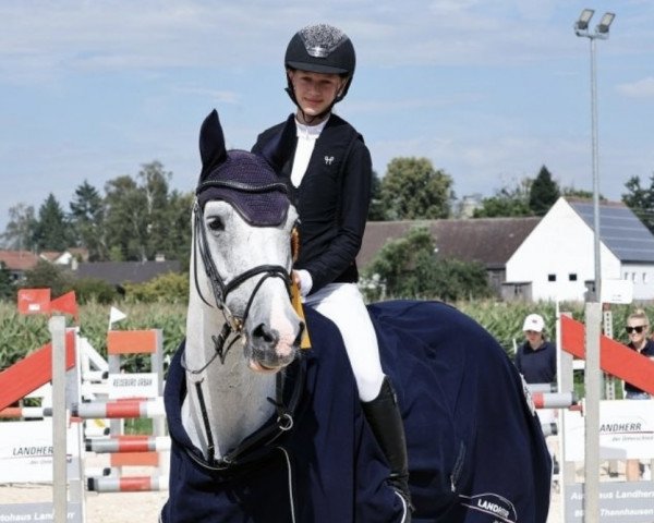 Springpferd Classic Babe S (Württemberger, 2012, von Berlin)