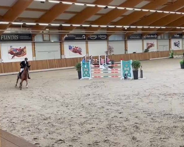 Reitturnier Riesenbeck 2024