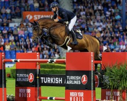 stallion United Touch S (Westphalian, 2012, from Untouched)