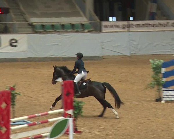 Reitturnier Kreuth/Opf. 2024