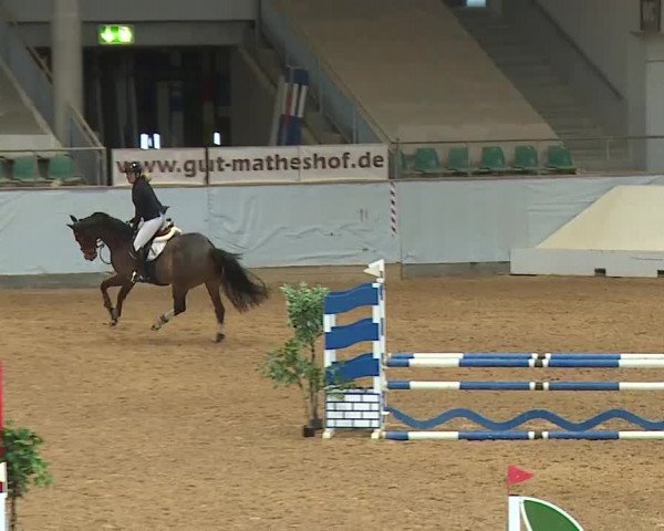 Reitturnier Kreuth/Opf. 2024