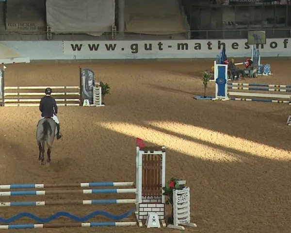 Reitturnier Kreuth/Opf. 2024