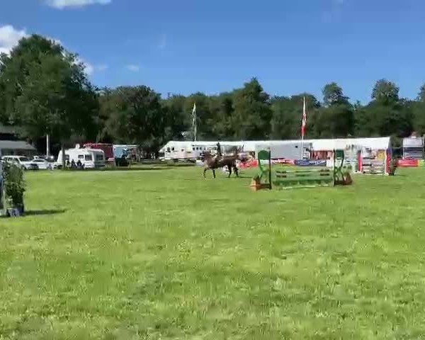 Reitturnier Wingst- Dobrock 2023