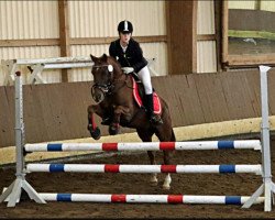 jumper Smoky 442 (unknown, 2001)