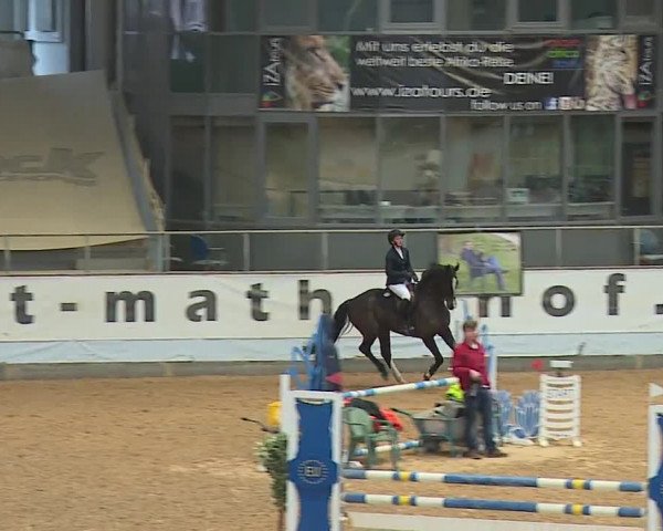 Reitturnier Kreuth/Opf. 2024
