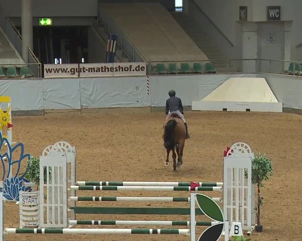 Reitturnier Kreuth/Opf. 2024