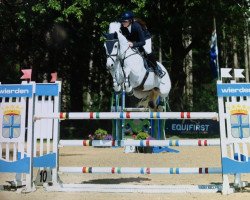 jumper Zee Tech (Irish Sport Horse, 2009)