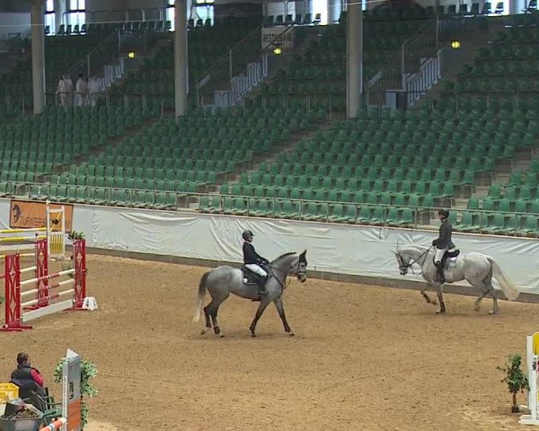 Reitturnier Kreuth/Opf. 2024