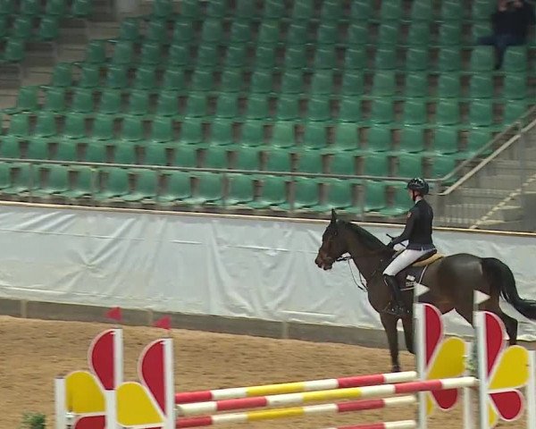 Reitturnier Kreuth/Opf. 2024