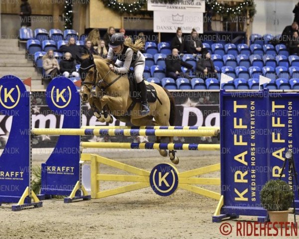 Springpferd Alderton Cruise (Irish Sport Horse, 2002)