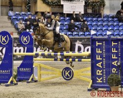 jumper Alderton Cruise (Irish Sport Horse, 2002)