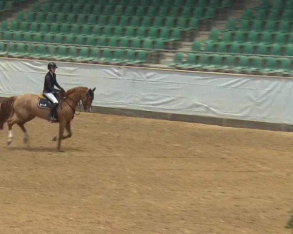 Reitturnier Kreuth/Opf. 2024