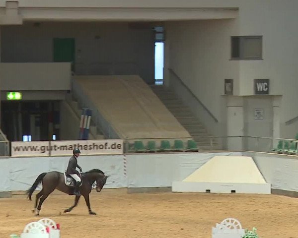 Reitturnier Kreuth/Opf. 2024