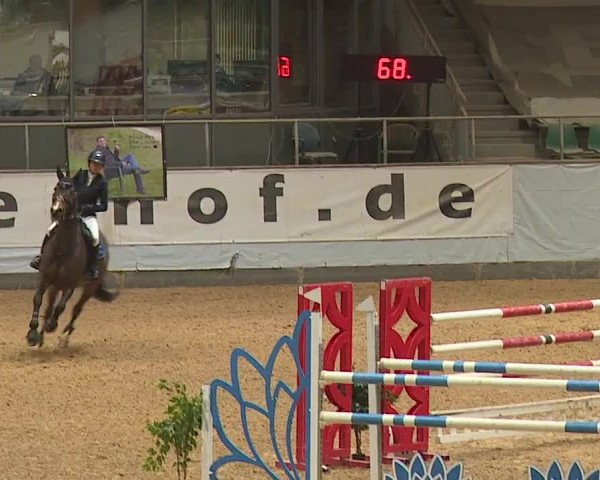 Reitturnier Kreuth/Opf. 2024