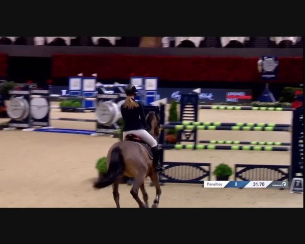 FEI Reitturnier Basel, St. Jakobshalle (SUI) 2024