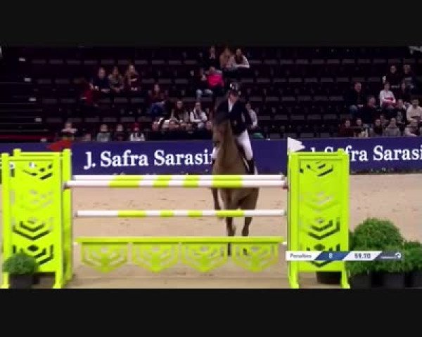 FEI Reitturnier Basel, St. Jakobshalle (SUI) 2024