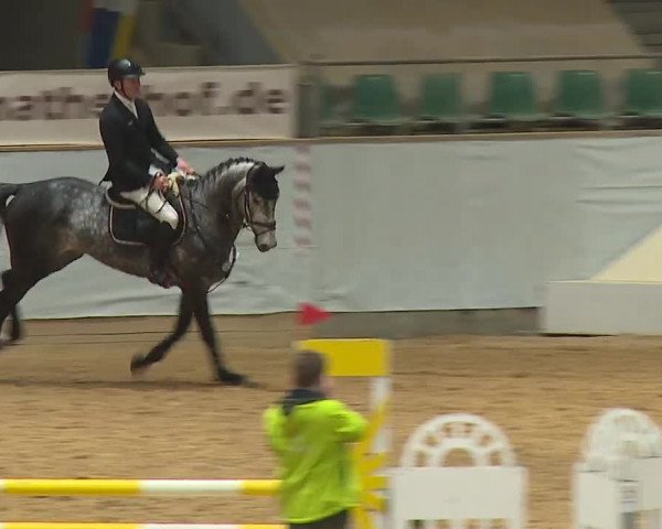 Reitturnier Kreuth/Opf. 2024