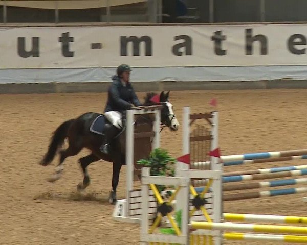 Reitturnier Kreuth/Opf. 2024