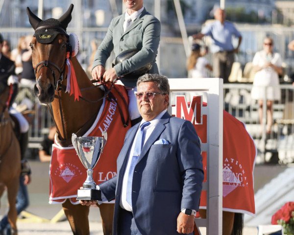 Springpferd Mansini LTD (Schwedisches Warmblut, 2009, von Caressini L)
