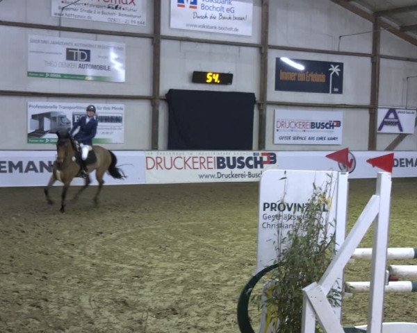 Reitturnier Barlo-Bocholt 2024